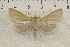  ( - IAWAZ-0819)  @14 [ ] Unspecified (default): All Rights Reserved  Unspecified Unspecified