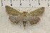 ( - IAWAZ-0820)  @14 [ ] Unspecified (default): All Rights Reserved  Unspecified Unspecified