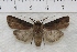  ( - IAWAZ-0879)  @12 [ ] Unspecified (default): All Rights Reserved  Unspecified Unspecified