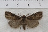  ( - IAWAZ-0880)  @13 [ ] Unspecified (default): All Rights Reserved  Unspecified Unspecified