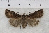  ( - IAWAZ-0881)  @13 [ ] Unspecified (default): All Rights Reserved  Unspecified Unspecified
