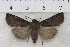  ( - IAWAZ-0907)  @14 [ ] Unspecified (default): All Rights Reserved  Unspecified Unspecified