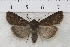  ( - IAWAZ-0908)  @14 [ ] Unspecified (default): All Rights Reserved  Unspecified Unspecified