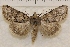  ( - IAWAZ-0921)  @14 [ ] Unspecified (default): All Rights Reserved  Unspecified Unspecified