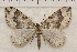  ( - IAWAZ-0929)  @11 [ ] Unspecified (default): All Rights Reserved  Unspecified Unspecified