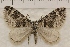  ( - IAWAZ-0933)  @13 [ ] Unspecified (default): All Rights Reserved  Unspecified Unspecified