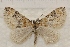  ( - IAWAZ-0934)  @13 [ ] Unspecified (default): All Rights Reserved  Unspecified Unspecified