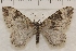  ( - IAWAZ-0939)  @11 [ ] Unspecified (default): All Rights Reserved  Unspecified Unspecified