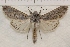  ( - IAWAZ-0952)  @15 [ ] Unspecified (default): All Rights Reserved  Unspecified Unspecified