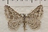 ( - IAWAZ-0956)  @14 [ ] Unspecified (default): All Rights Reserved  Unspecified Unspecified