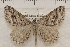  ( - IAWAZ-0961)  @13 [ ] Unspecified (default): All Rights Reserved  Unspecified Unspecified