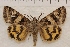  ( - IAWAZ-0966)  @14 [ ] Unspecified (default): All Rights Reserved  Unspecified Unspecified