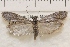  ( - IAWAZ-1000)  @13 [ ] Unspecified (default): All Rights Reserved  Unspecified Unspecified