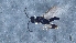  ( - HYM0339)  @11 [ ] by-nc-sa  Unspecified Station Linne