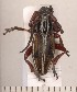  ( - CLV2124)  @13 [ ] Copyright (2011) David C. Lees Unspecified