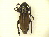  ( - CLV5809)  @13 [ ] Unspecified (default): All Rights Reserved  Unspecified Unspecified