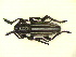  ( - CLV6609)  @13 [ ] Unspecified (default): All Rights Reserved  Unspecified Unspecified