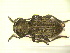  ( - CLV7109)  @12 [ ] Unspecified (default): All Rights Reserved  Unspecified Unspecified