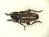  ( - CLV10709)  @11 [ ] Unspecified (default): All Rights Reserved  Unspecified Unspecified