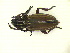  ( - CLV10809)  @11 [ ] Unspecified (default): All Rights Reserved  Unspecified Unspecified