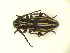  ( - CLV11609)  @12 [ ] Unspecified (default): All Rights Reserved  Unspecified Unspecified