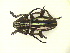  ( - CLV11709)  @12 [ ] Unspecified (default): All Rights Reserved  Unspecified Unspecified