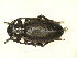 ( - CLV12909)  @13 [ ] Unspecified (default): All Rights Reserved  Unspecified Unspecified