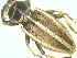  ( - CLV14809)  @12 [ ] Unspecified (default): All Rights Reserved  Unspecified Unspecified