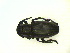  ( - CLV15809)  @13 [ ] Unspecified (default): All Rights Reserved  Unspecified Unspecified