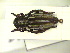  ( - CLV9609)  @13 [ ] Unspecified (default): All Rights Reserved  Unspecified Unspecified