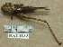  ( - INV00122)  @12 [ ] CreativeCommons - Attribution (2016) EnvMetaGen Research Center in Biodiversity and Genetic Resources