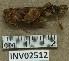  ( - INV02512)  @11 [ ] CreativeCommons - Attribution (2016) EnvMetaGen Research Center in Biodiversity and Genetic Resources