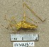  ( - INV02514)  @11 [ ] CreativeCommons - Attribution (2016) EnvMetaGen Research Center in Biodiversity and Genetic Resources