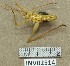  ( - INV02514)  @11 [ ] CreativeCommons - Attribution (2016) EnvMetaGen Research Center in Biodiversity and Genetic Resources