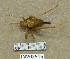  ( - INV02515)  @11 [ ] CreativeCommons - Attribution (2016) EnvMetaGen Research Center in Biodiversity and Genetic Resources