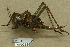  ( - INV02526)  @11 [ ] CreativeCommons - Attribution (2016) EnvMetaGen Research Center in Biodiversity and Genetic Resources