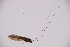  ( - INV02948)  @11 [ ] CreativeCommons - Attribution (2016) Luis Martin Universidad de Santiago de Compostela