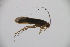  ( - INV03585)  @11 [ ] CreativeCommons - Attribution (2017) Luis Martin Universidad de Santiago de Compostela