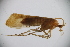 ( - INV03664)  @11 [ ] CreativeCommons - Attribution (2017) Luís Martín Universidad de Santiago de Compostela