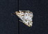  ( - AOCLep02569)  @11 [ ] Copyright (2022) A.S. Ortiz Unspecified