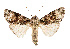  ( - AOCLep02603)  @11 [ ] Copyright (2022) A. Kiss Unspecified