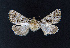  ( - AOCLep02608)  @11 [ ] Copyright (2022) A.S. Ortiz Unspecified