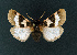  ( - AOCLep02618)  @11 [ ] Copyright (2022) A.S. Ortiz Unspecified
