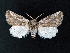  ( - AOCLep02627)  @11 [ ] Copyright (2022) A.S. Ortiz Unspecified
