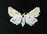  ( - AOCLep02628)  @11 [ ] Copyright (2022) A.S. Ortiz Unspecified