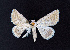  ( - AOCLep02629)  @11 [ ] Copyright (2022) A.S. Ortiz Unspecified