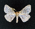  ( - AOCLep02635)  @11 [ ] Copyright (2022) A.S. Ortiz Unspecified