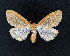  ( - AOCLep02637)  @11 [ ] Copyright (2022) A.S. Ortiz Unspecified