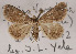  ( - AOCLep02642)  @11 [ ] Copyright (2022) A.S. Ortiz Unspecified