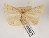  ( - AOCLep02645)  @11 [ ] Copyright (2022) A.S. Ortiz Unspecified
